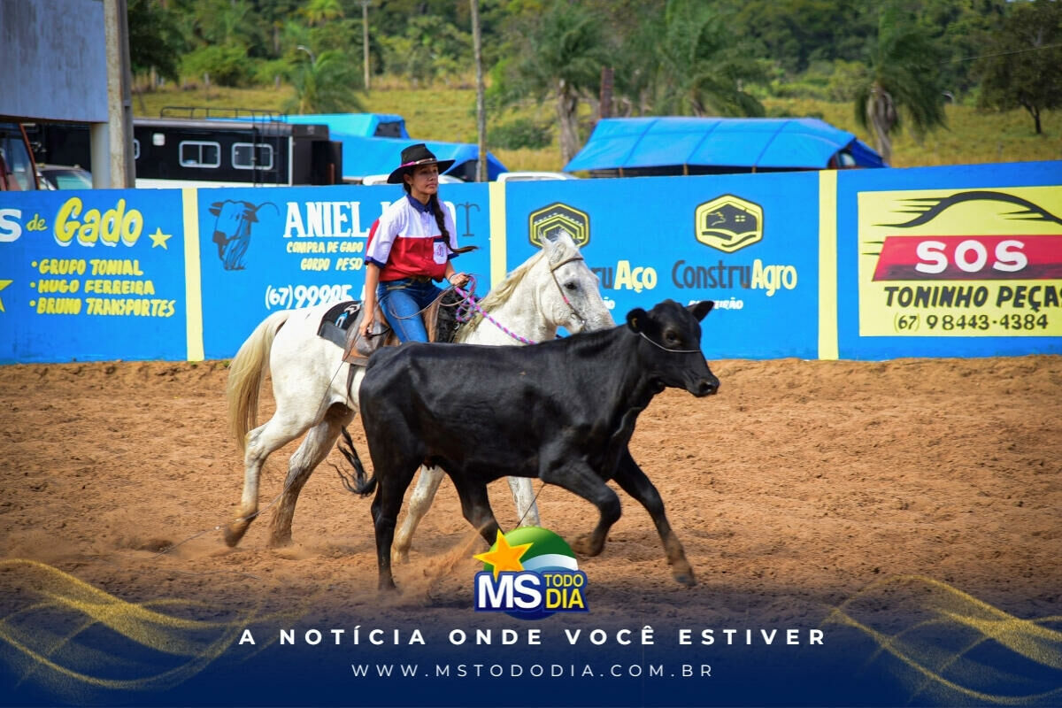 Imagem da Galeria